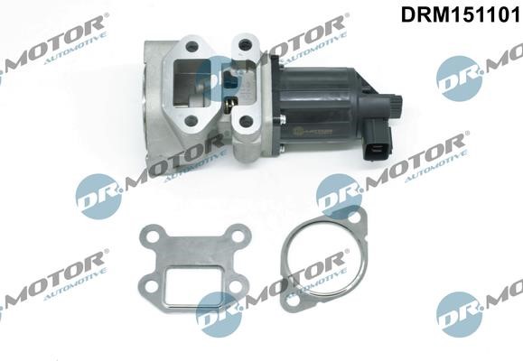 Dr.Motor DRM151101 Клапан рециркуляции отработанных газов EGR DRM151101: Отличная цена - Купить в Польше на 2407.PL!