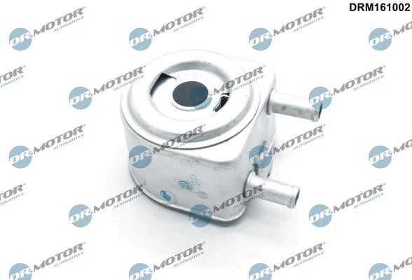 Dr.Motor DRM161002 Oil Cooler, engine oil DRM161002: Buy near me in Poland at 2407.PL - Good price!