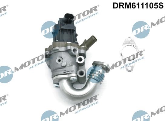 Dr.Motor DRM611105S EGR Valve DRM611105S: Buy near me in Poland at 2407.PL - Good price!