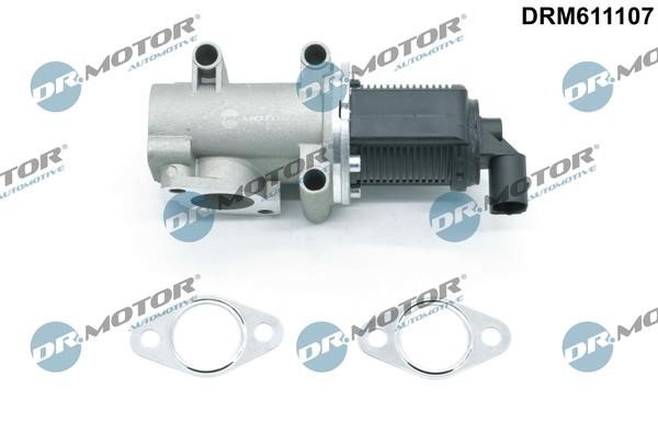Dr.Motor DRM611107 Клапан рециркуляции отработанных газов EGR DRM611107: Отличная цена - Купить в Польше на 2407.PL!