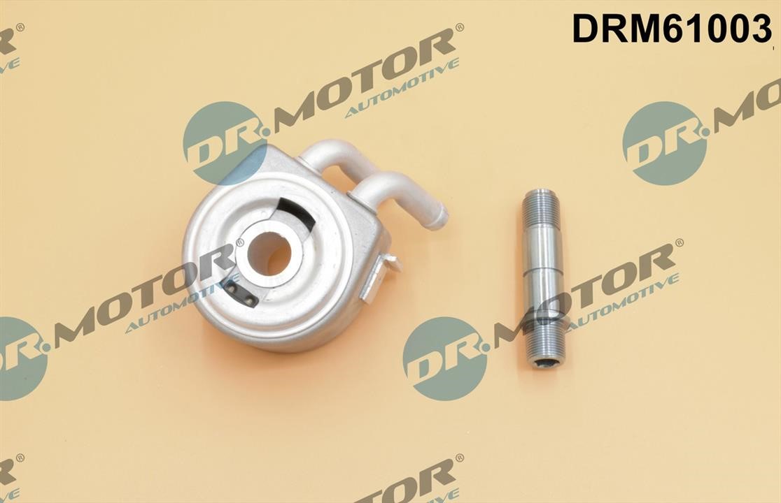 Купить Dr.Motor DRM61003 по низкой цене в Польше!