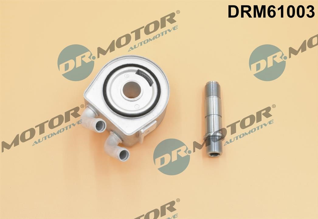 Dr.Motor DRM61003 Oil Cooler, engine oil DRM61003: Buy near me in Poland at 2407.PL - Good price!
