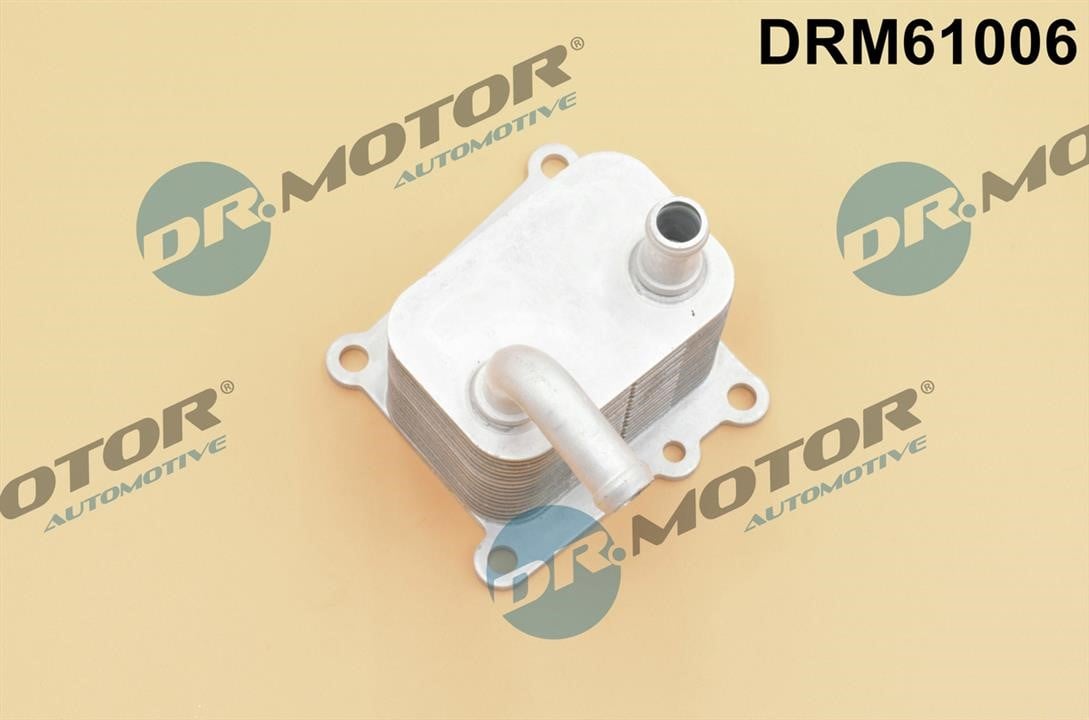 Dr.Motor DRM61006 Oil Cooler, engine oil DRM61006: Buy near me in Poland at 2407.PL - Good price!