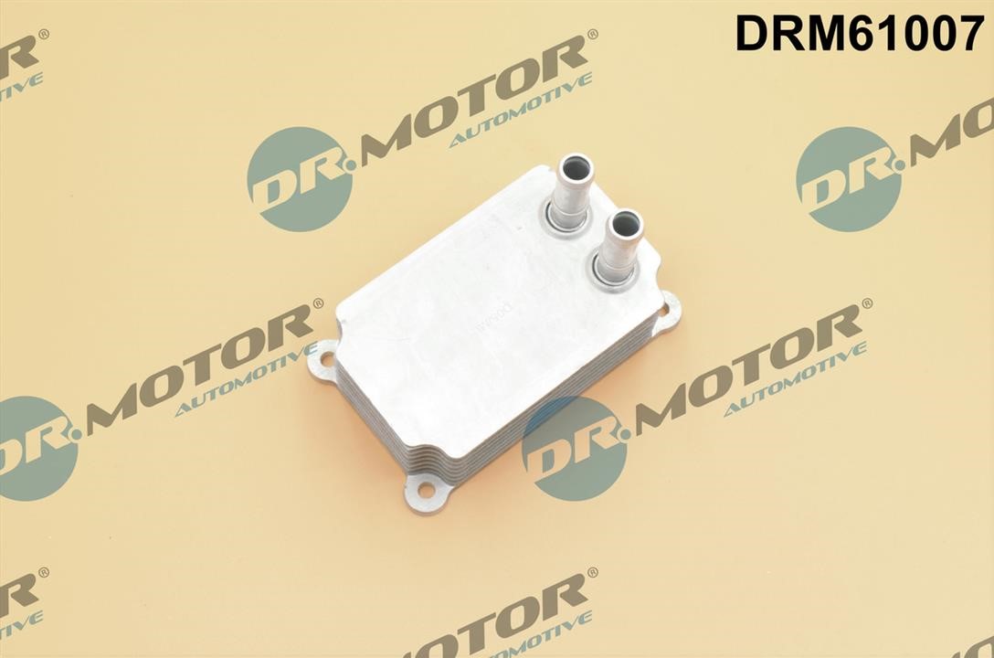 Dr.Motor DRM61007 Oil Cooler, engine oil DRM61007: Buy near me in Poland at 2407.PL - Good price!