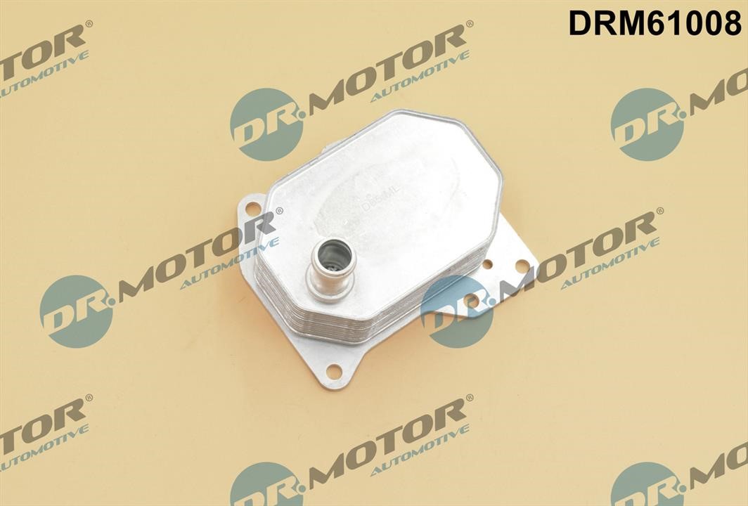 Dr.Motor DRM61008 Oil Cooler, engine oil DRM61008: Buy near me in Poland at 2407.PL - Good price!