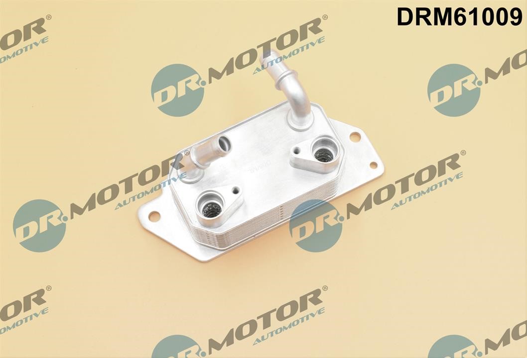 Dr.Motor DRM61009 Масляный радиатор, автоматическая коробка передач DRM61009: Купить в Польше - Отличная цена на 2407.PL!