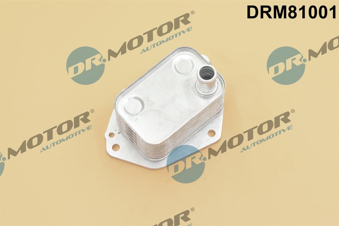 Dr.Motor DRM81001 Oil Cooler, engine oil DRM81001: Buy near me in Poland at 2407.PL - Good price!
