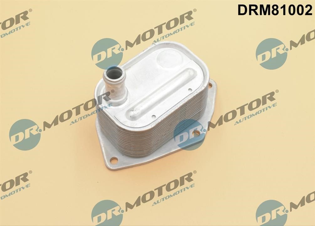 Dr.Motor DRM81002 Oil Cooler, engine oil DRM81002: Buy near me at 2407.PL in Poland at an Affordable price!