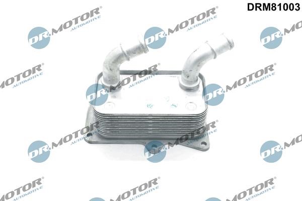 Dr.Motor DRM81003 Oil Cooler, engine oil DRM81003: Buy near me in Poland at 2407.PL - Good price!