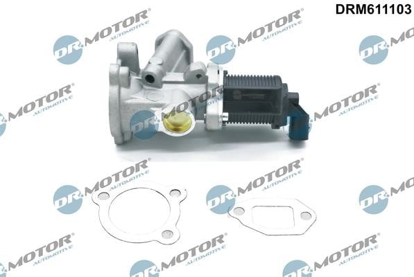 Dr.Motor DRM611103 AGR-Ventil DRM611103: Kaufen Sie zu einem guten Preis in Polen bei 2407.PL!