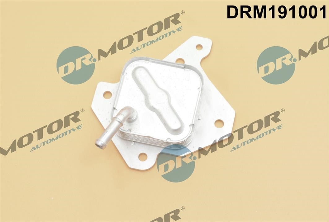 Dr.Motor DRM191001 Oil Cooler, engine oil DRM191001: Buy near me in Poland at 2407.PL - Good price!