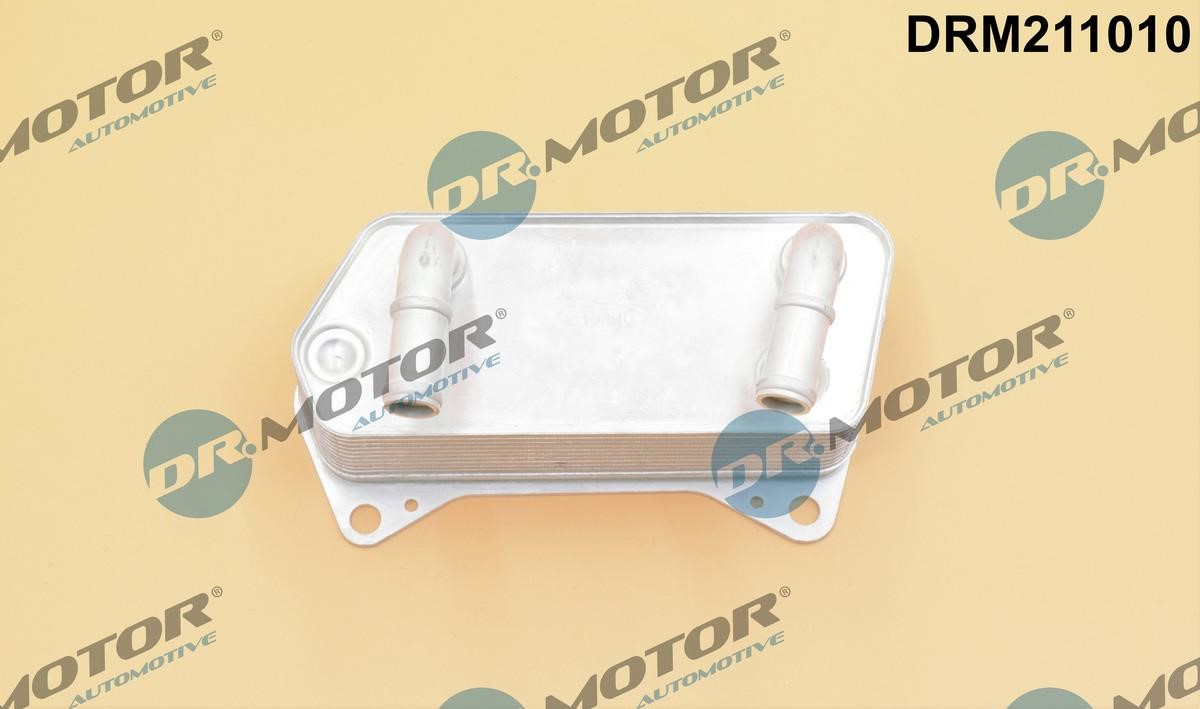 Dr.Motor DRM211010 Oil Cooler, automatic transmission DRM211010: Buy near me in Poland at 2407.PL - Good price!