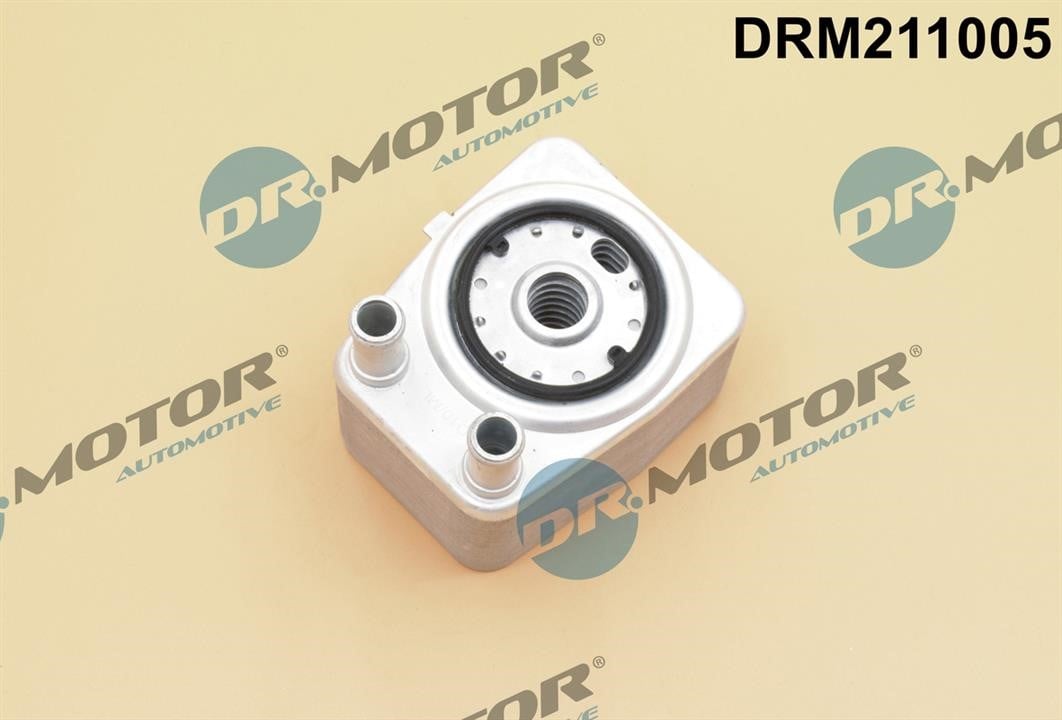 Dr.Motor DRM211005 Oil Cooler, engine oil DRM211005: Buy near me in Poland at 2407.PL - Good price!