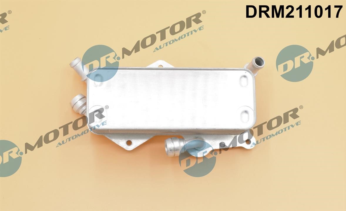 Dr.Motor DRM211017 Oil Cooler, automatic transmission DRM211017: Buy near me in Poland at 2407.PL - Good price!
