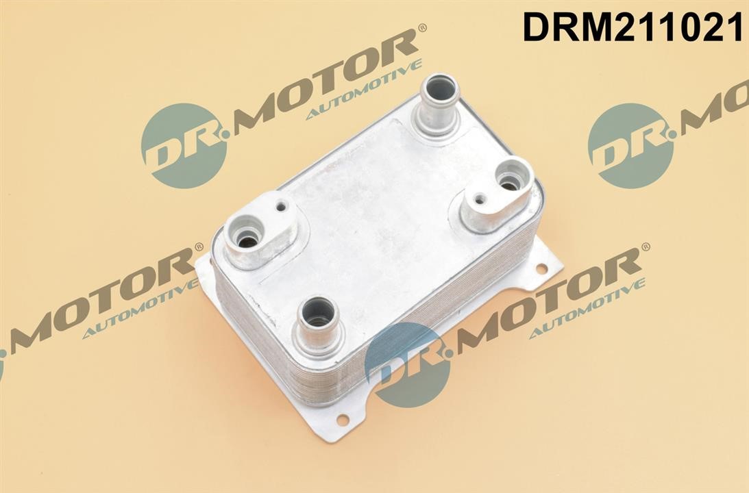 Dr.Motor DRM211021 Oil Cooler, automatic transmission DRM211021: Buy near me in Poland at 2407.PL - Good price!