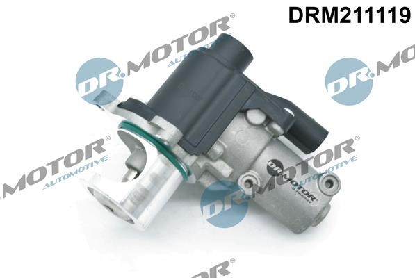 Dr.Motor DRM211119 EGR Valve DRM211119: Buy near me in Poland at 2407.PL - Good price!