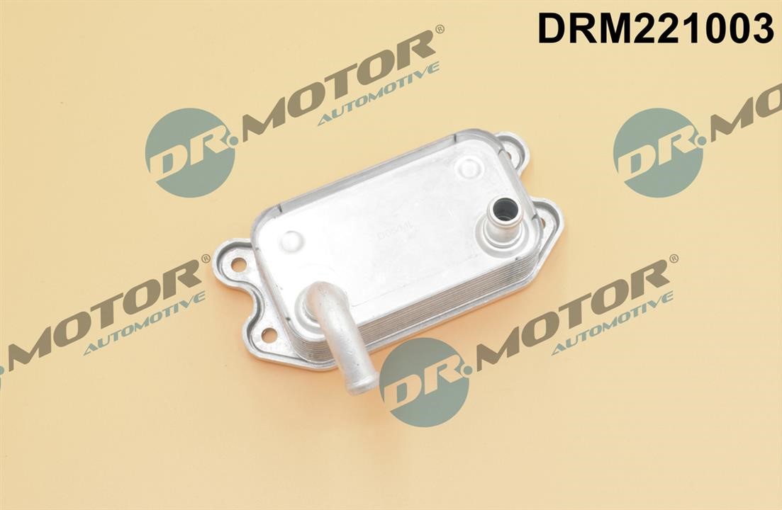 Dr.Motor DRM221003 Oil Cooler, engine oil DRM221003: Buy near me in Poland at 2407.PL - Good price!