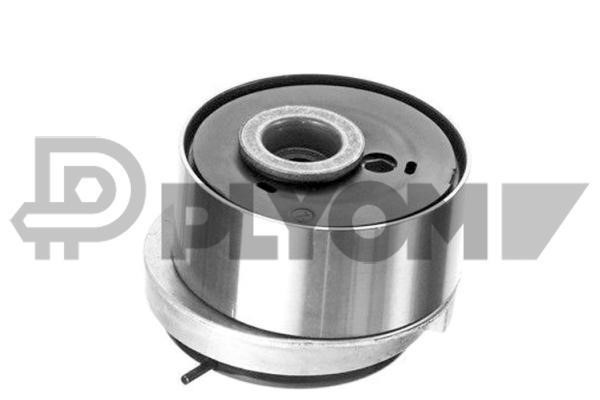 PLYOM P770067 Tensioner pulley, timing belt P770067: Buy near me in Poland at 2407.PL - Good price!