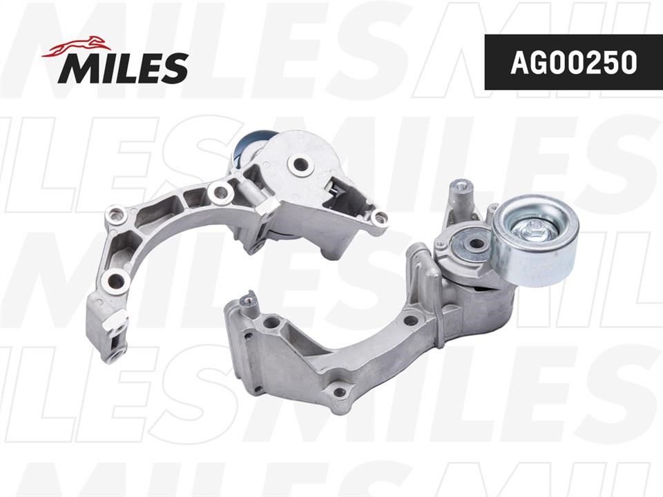 Miles AG00250 Spannrolle AG00250: Kaufen Sie zu einem guten Preis in Polen bei 2407.PL!