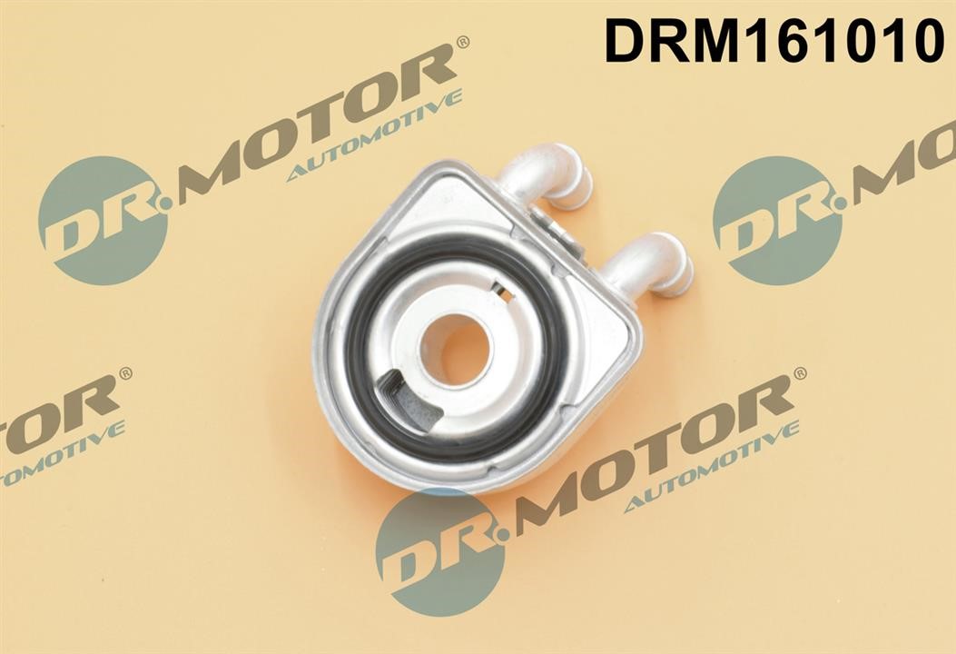 Dr.Motor DRM161010 Oil Cooler, engine oil DRM161010: Buy near me at 2407.PL in Poland at an Affordable price!