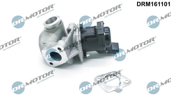 Dr.Motor DRM161101 Клапан рециркуляции отработанных газов EGR DRM161101: Отличная цена - Купить в Польше на 2407.PL!