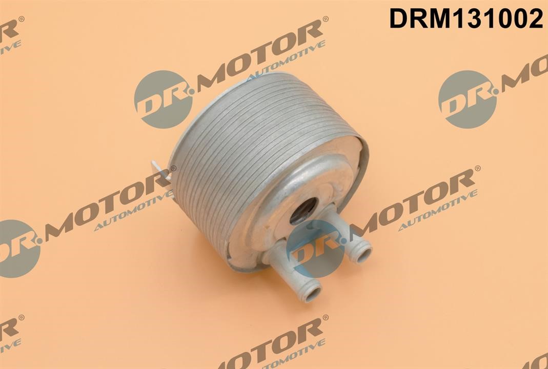 Dr.Motor DRM131002 Oil Cooler, engine oil DRM131002: Buy near me in Poland at 2407.PL - Good price!