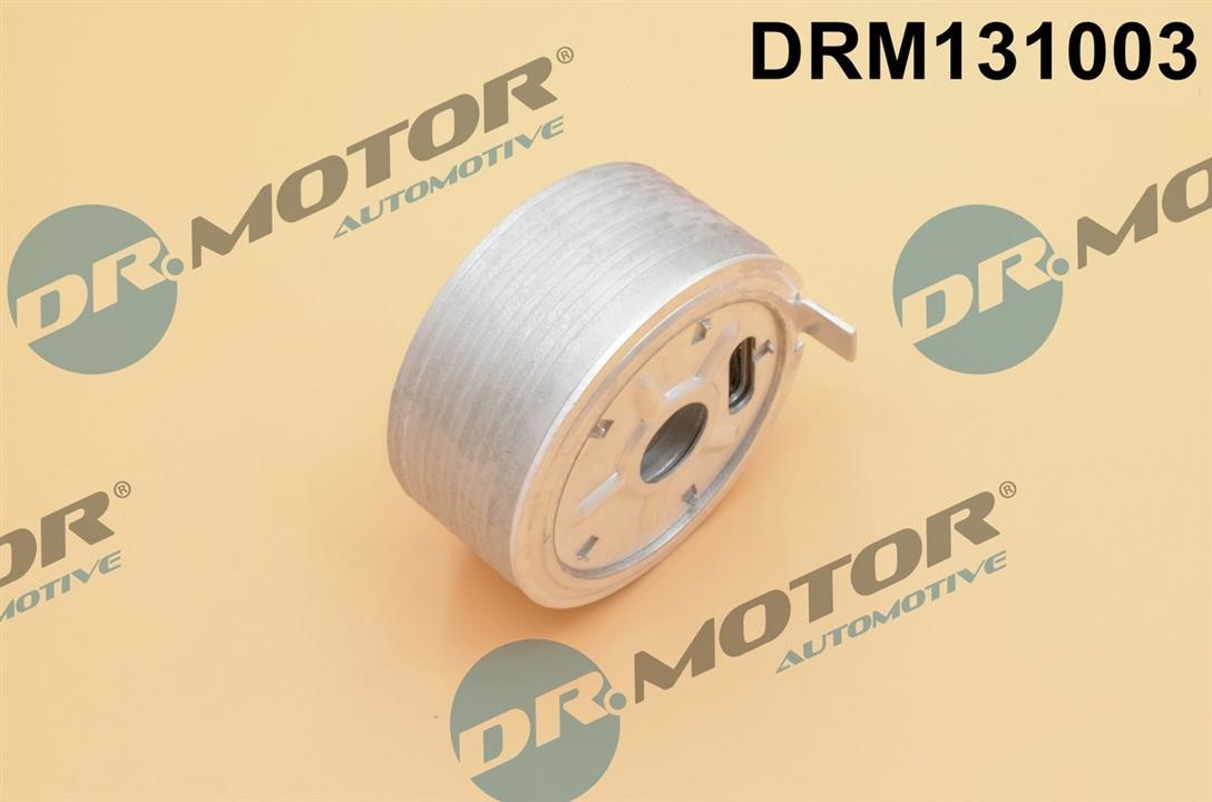 Buy Dr.Motor DRM131003 at a low price in Poland!