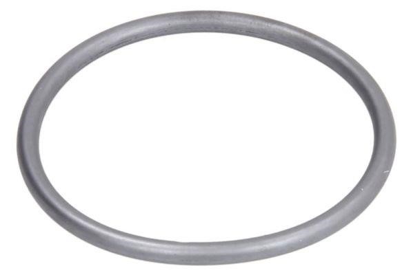 Engitech ENT230044/1 Fuel pump gasket ENT2300441: Buy near me in Poland at 2407.PL - Good price!