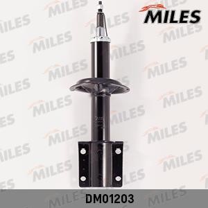 Miles DM01203 Front suspension shock absorber DM01203: Buy near me in Poland at 2407.PL - Good price!