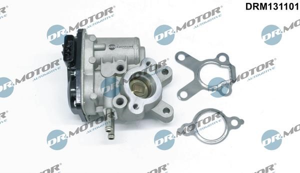 Dr.Motor DRM131101 Клапан рециркуляции отработанных газов EGR DRM131101: Отличная цена - Купить в Польше на 2407.PL!