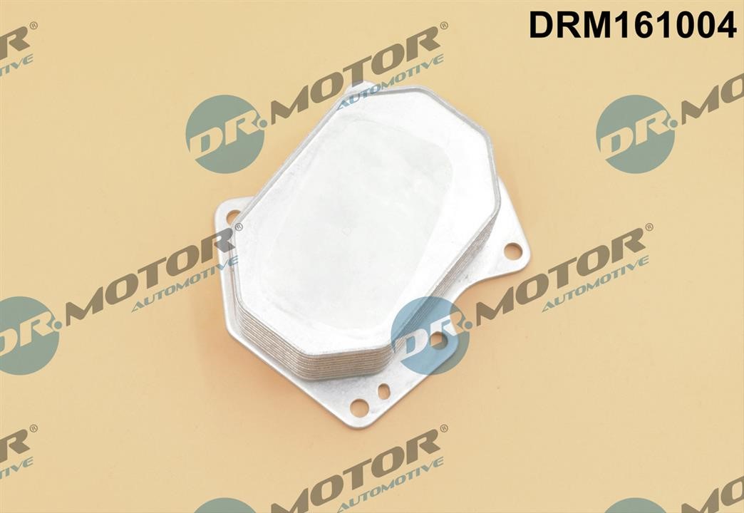 Dr.Motor DRM161004 Oil Cooler, engine oil DRM161004: Buy near me in Poland at 2407.PL - Good price!