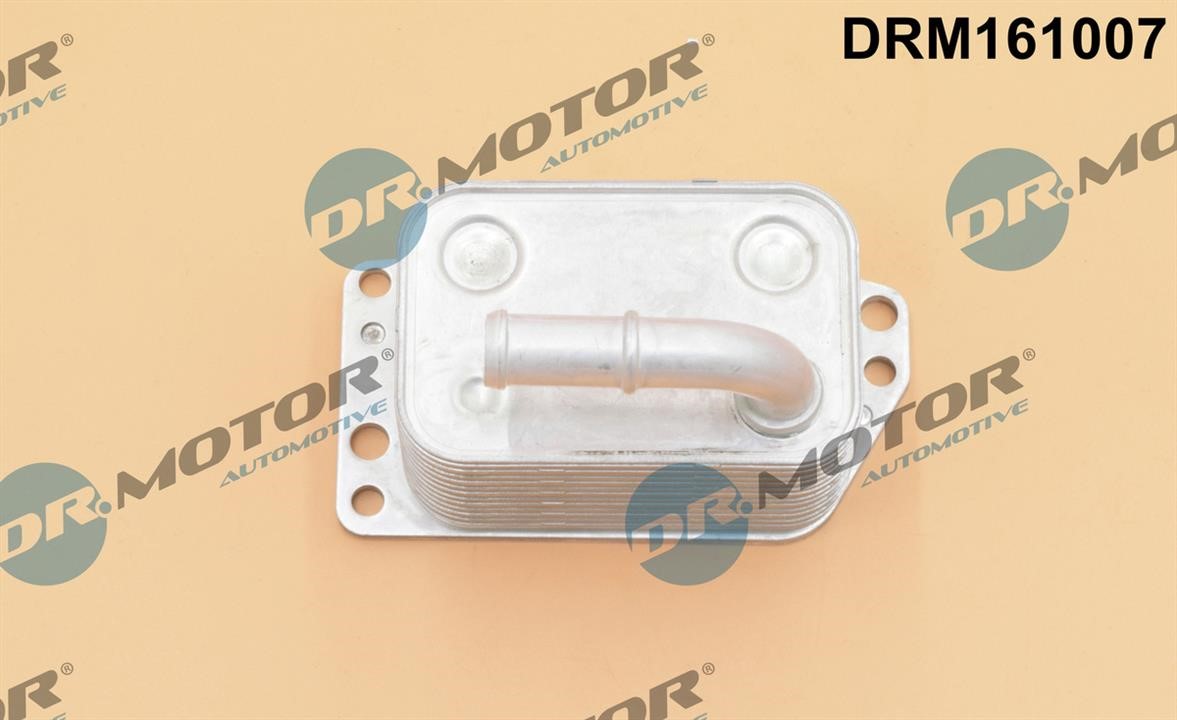 Dr.Motor DRM161007 Oil Cooler, engine oil DRM161007: Buy near me in Poland at 2407.PL - Good price!