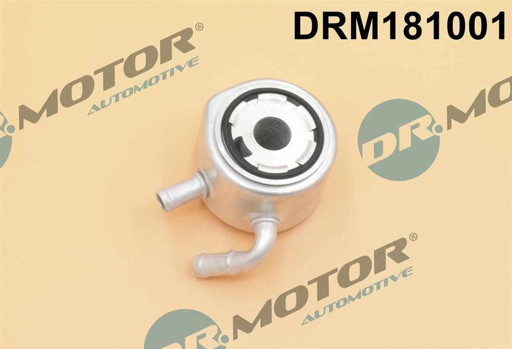 Dr.Motor DRM181001 Oil Cooler, engine oil DRM181001: Buy near me in Poland at 2407.PL - Good price!