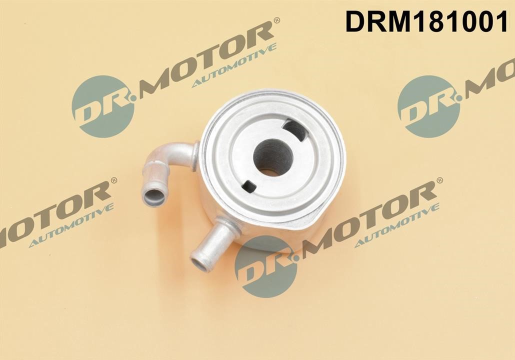 Kaufen Sie Dr.Motor DRM181001 zu einem günstigen Preis in Polen!