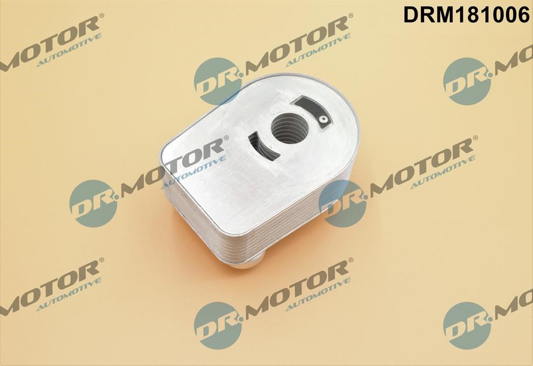 Купить Dr.Motor DRM181006 по низкой цене в Польше!