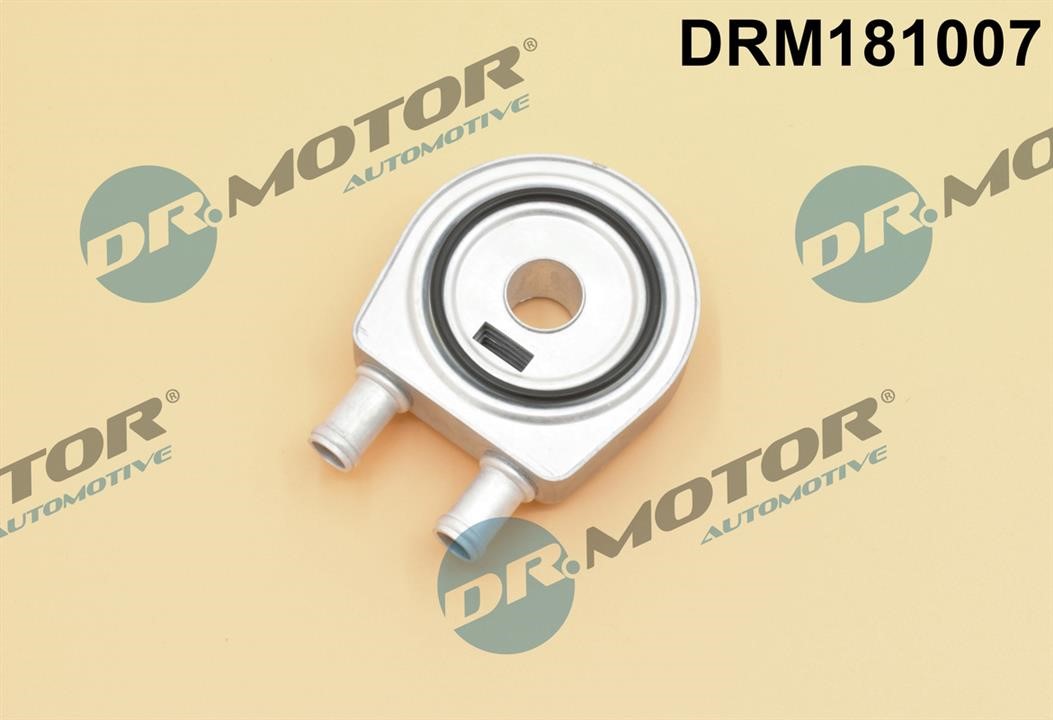 Dr.Motor DRM181007 Oil Cooler, engine oil DRM181007: Buy near me in Poland at 2407.PL - Good price!