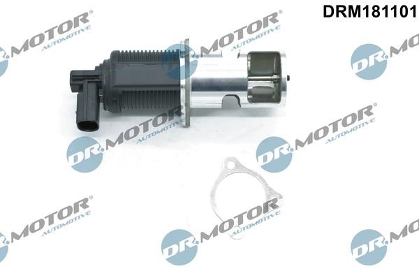 Dr.Motor DRM181101 EGR Valve DRM181101: Buy near me in Poland at 2407.PL - Good price!