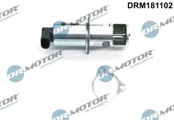 Dr.Motor DRM181102 AGR-Ventil DRM181102: Kaufen Sie zu einem guten Preis in Polen bei 2407.PL!