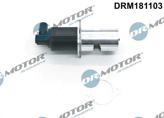 Dr.Motor DRM181103 Клапан рециркуляції відпрацьованих газів EGR DRM181103: Приваблива ціна - Купити у Польщі на 2407.PL!