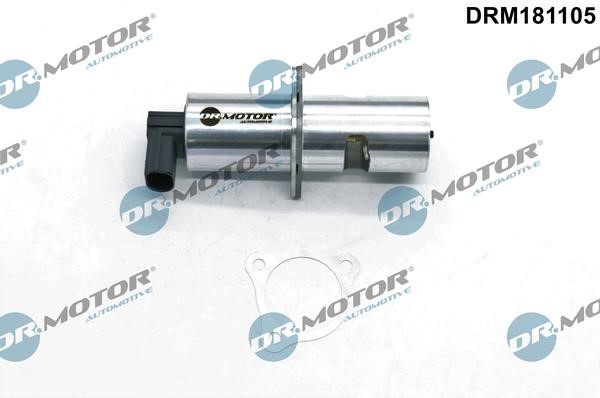 Dr.Motor DRM181105 Клапан рециркуляції відпрацьованих газів EGR DRM181105: Приваблива ціна - Купити у Польщі на 2407.PL!