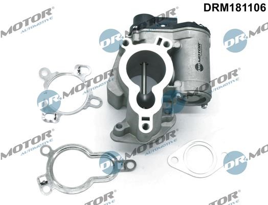 Dr.Motor DRM181106 EGR Valve DRM181106: Buy near me in Poland at 2407.PL - Good price!