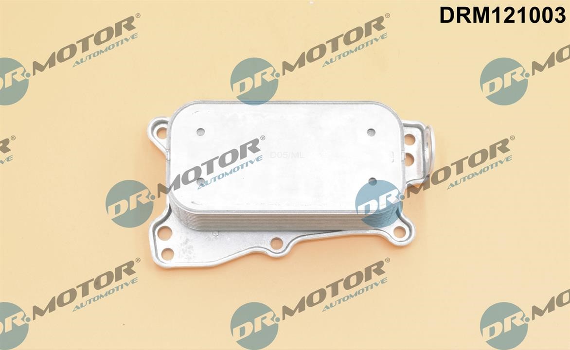 Dr.Motor DRM121003 Oil Cooler, engine oil DRM121003: Buy near me in Poland at 2407.PL - Good price!