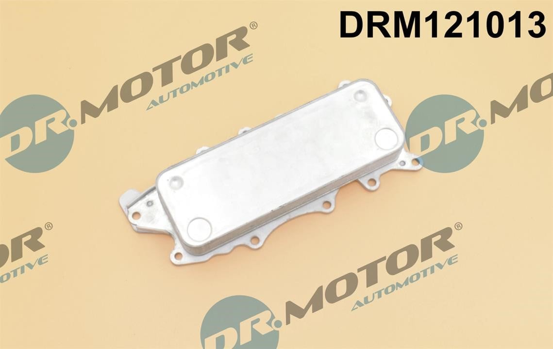 Dr.Motor DRM121013 Oil Cooler, engine oil DRM121013: Buy near me in Poland at 2407.PL - Good price!