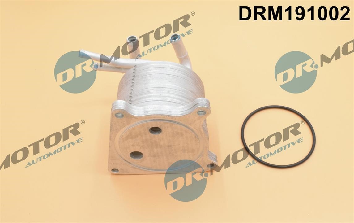 Купить Dr.Motor DRM191002 по низкой цене в Польше!