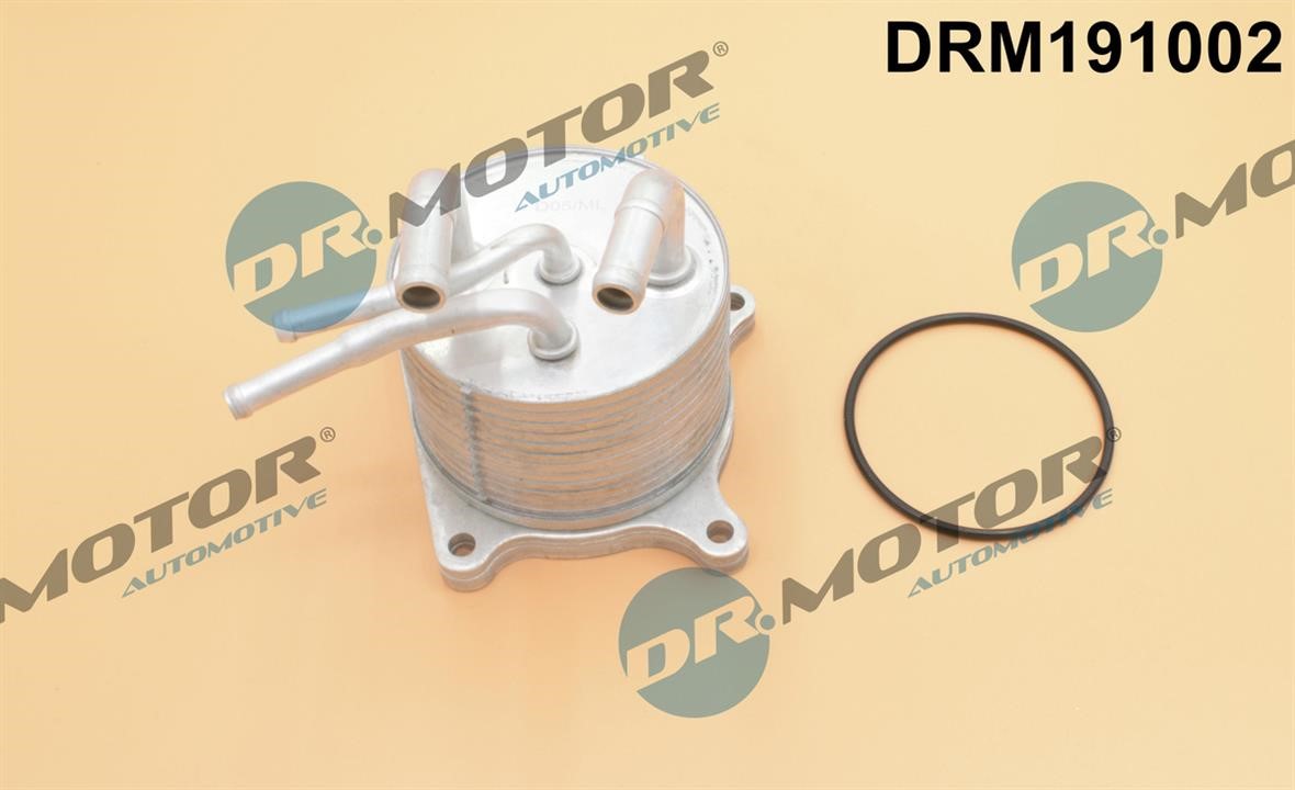 Dr.Motor DRM191002 Oil Cooler, engine oil DRM191002: Buy near me in Poland at 2407.PL - Good price!