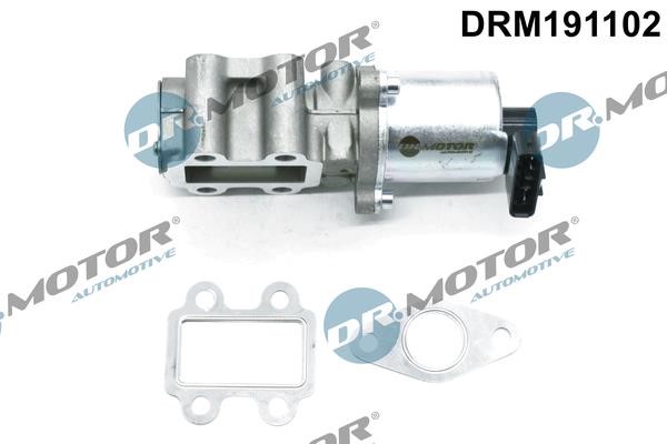 Dr.Motor DRM191102 AGR-Ventil DRM191102: Kaufen Sie zu einem guten Preis in Polen bei 2407.PL!