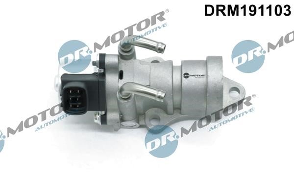 Dr.Motor DRM191103 Клапан рециркуляції відпрацьованих газів EGR DRM191103: Приваблива ціна - Купити у Польщі на 2407.PL!