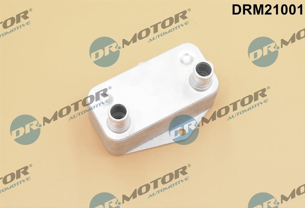 Dr.Motor DRM21001 Oil Cooler, engine oil DRM21001: Buy near me in Poland at 2407.PL - Good price!