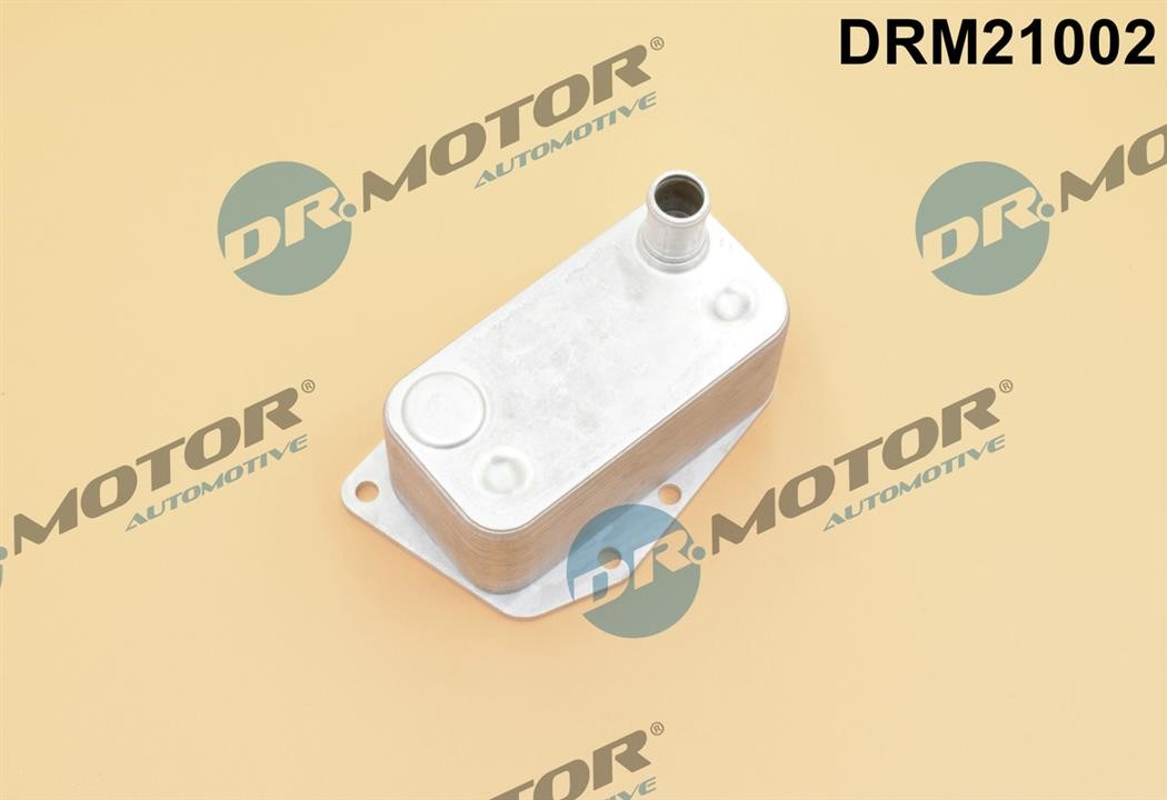Dr.Motor DRM21002 Oil Cooler, engine oil DRM21002: Buy near me in Poland at 2407.PL - Good price!