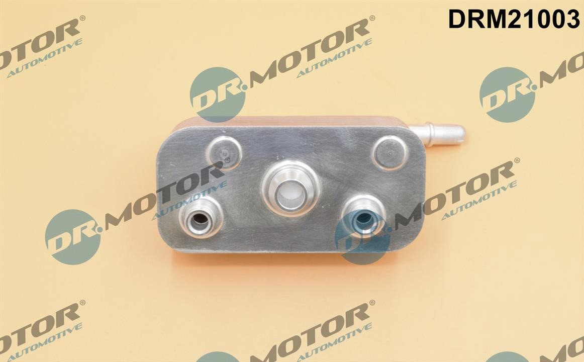 Купить Dr.Motor DRM21003 по низкой цене в Польше!